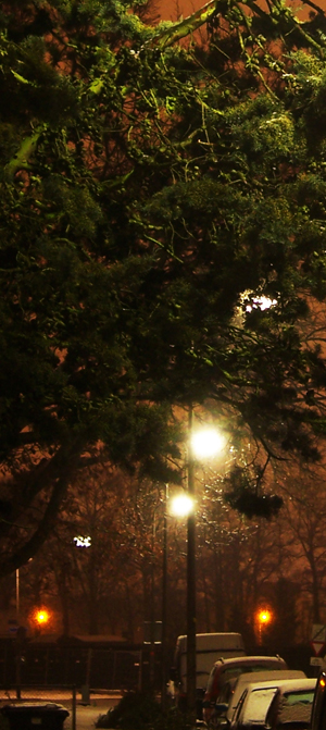 Silent Night